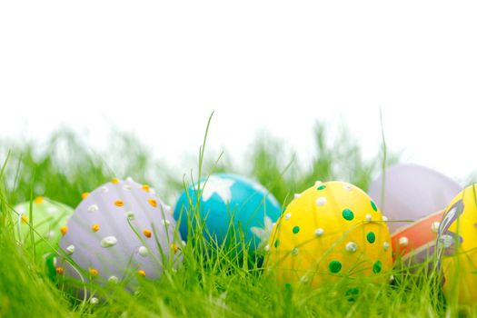 Colorful easter eggs in fresh spring green grass