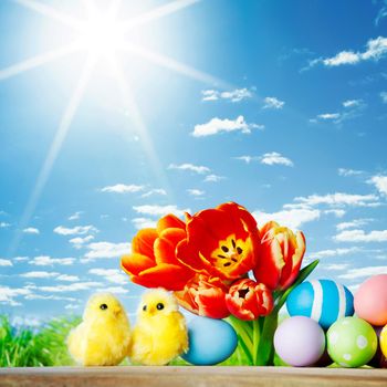 Easter eggs with tulips on spring grass background