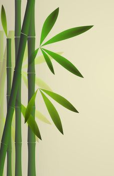 Bamboo background. Bamboo stem with leaves on pastel light background. Space for text, copy space. illustration