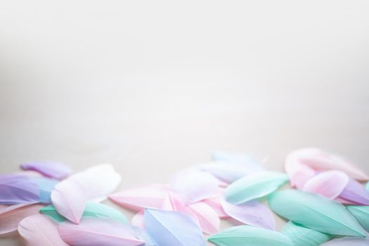 Coral Pink blue green pastel colored color trends feather texture background easter holiday softness concept