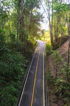 Top view of road and green forest sunlight