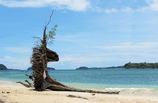 Driftwood on a tropical beach with blue sky and turquoise water in Port Blair, Andaman Nicobar Islands, India.