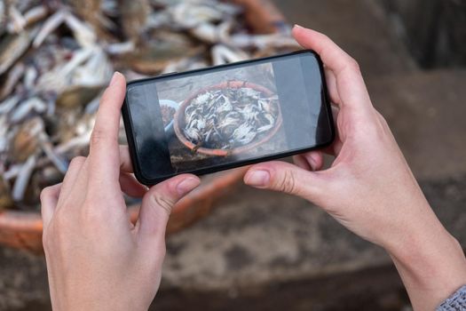 Cropped Hand Of Person Photographing Fishes In Mug With Mobile Phone, Goa, India