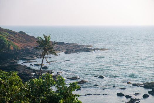 Top View on the coastline of the Northern Goa, India