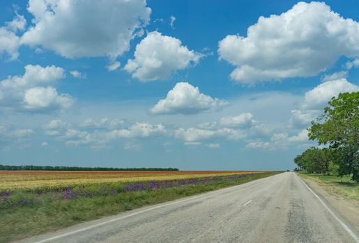 Landscape with a view of the road on the background of the field.