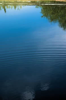 Landscape and blue sky reflections on a calm pond.
