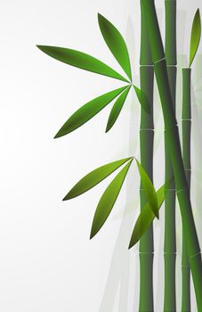 Bamboo stem with leaves on white background. Isolated Bamboo background. Space for text, copy space. 3D illustration