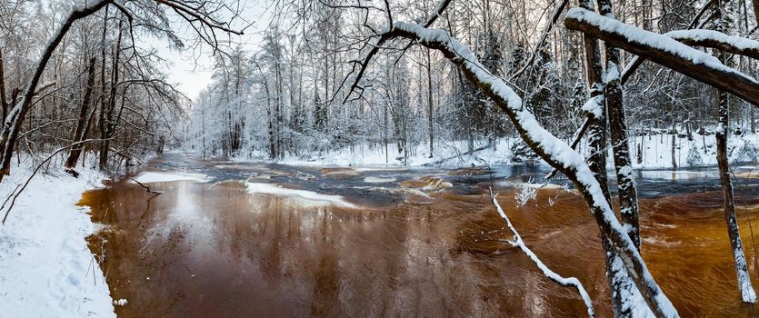 The wild nature at sunset, the wild frozen small river in the winter wood, the Red River, ice, snow-covered trees. High quality photo