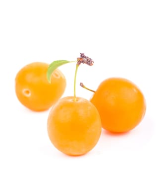 Yellow plum with leaves isolated on white background.