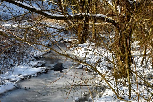 little creek in winter with ice