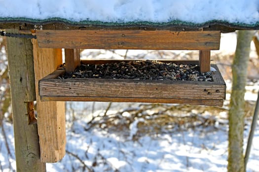 a bird feeder in a tree in wintertime