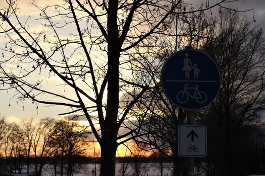 A beautyful sunset with cloudy sky and a tree and a blue traffic sign in the foreground