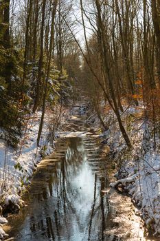 the snow during a cold period in the nature area het waterloopbos in Holland