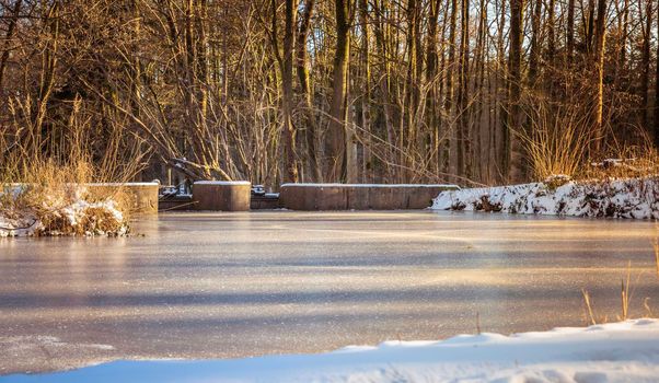 Winter with snow in the Waterloopbos, a forest where old scale models of waterworks can be found.