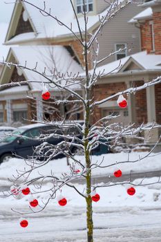 Children decorated a tree in the yard with red balls for the holiday