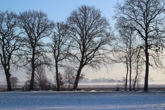 Snowy winter landscape with a field and trees on a foggy morning