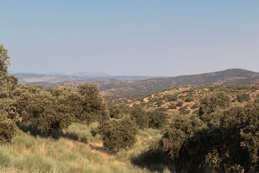 agricultural landscapes in southern Andalusia with a clear sky