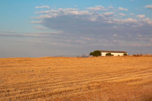 Agricultural farm in southern Andalusia with a cloud filled sky in spain