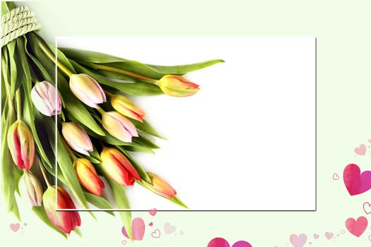Bunch of spring flowers. Fresh tulips on white green background. Valentines, Easter, Birthday, Love, marriage, wedding card