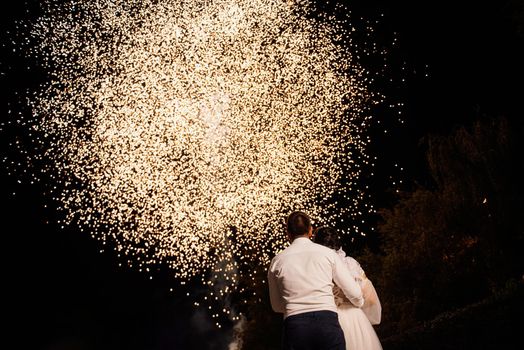 light night fire show on the background of the night sky with newlyweds