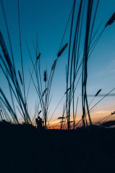 blonde girl with loose hair in a light blue dress and a guy in the light of sunset in nature