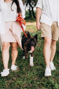 Big dog for a walk with a guy and a girl on the green prairie