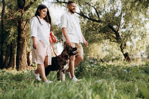 Big dog for a walk with a guy and a girl on the green prairie