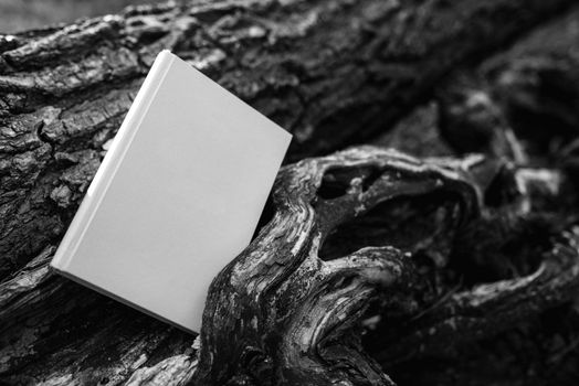 gray book notepad without inscriptions on a fallen crooked tree