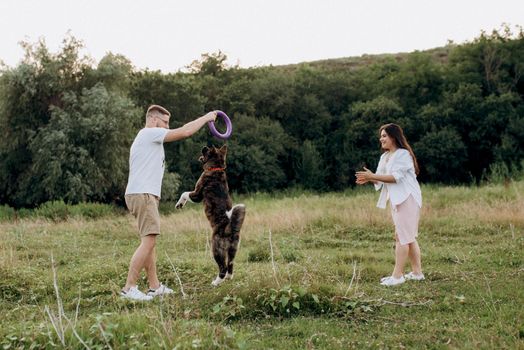 Big dog for a walk with a guy and a girl on the green prairie