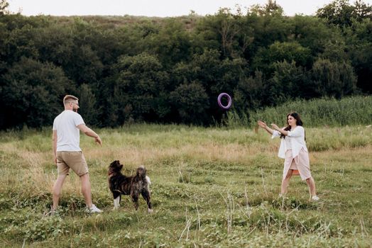 Big dog for a walk with a guy and a girl on the green prairie