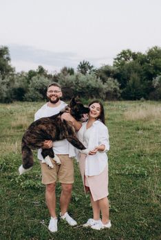 Big dog for a walk with a guy and a girl on the green prairie