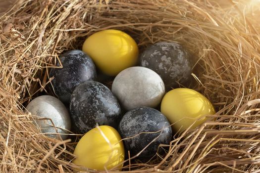 Easter composition - yellow and blue Easter eggs painted with natural dyes in a nest of hay.