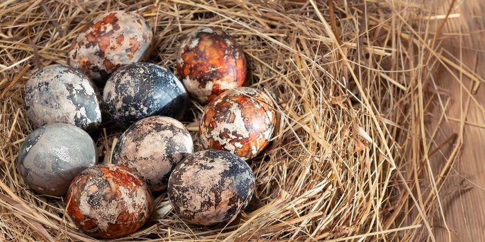 Easter composition - multicolored marble Easter eggs painted with natural dyes in a nest of hay, horizontal banner.