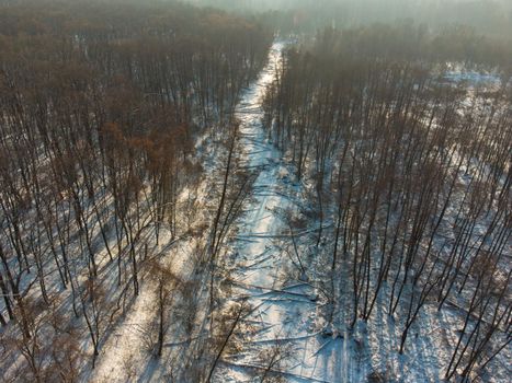 aerial view of forest covered with snow ,bird's eye view