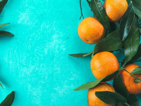 Tangerines, oranges, mandarins, clementines, citrus fruits with leaves on blue concrete background. Top view or flat-lay. Copy space.
