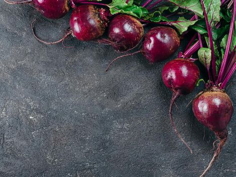 Beet, beetroot bunch on dark stone or concrete background. Fresh ripe beetroot with leaf on dark table. Copy space. Top view or flat lay