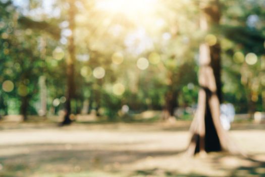 Blur nature bokeh green park by beach and tropical coconut trees in sunset time.