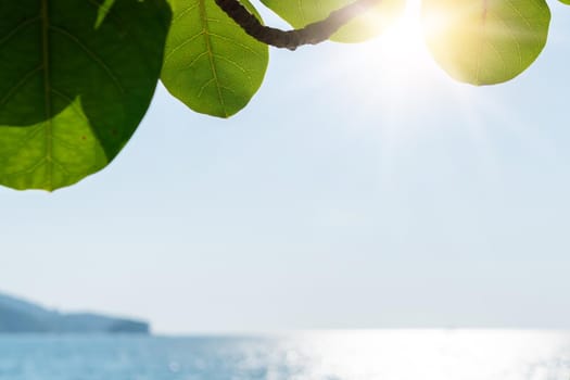 Tropical nature clean beach and white sand in summer season with sun light blue sky background.