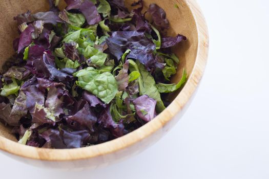Quinoa, lettuce, lambs lettuce, black olives and cucumber salad. No people