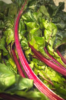 Fresh red chard without cooking. Healthy food for vegetarians and vegans