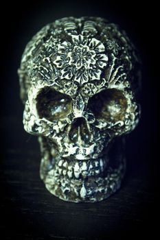 False bone skull on black background. Copy space