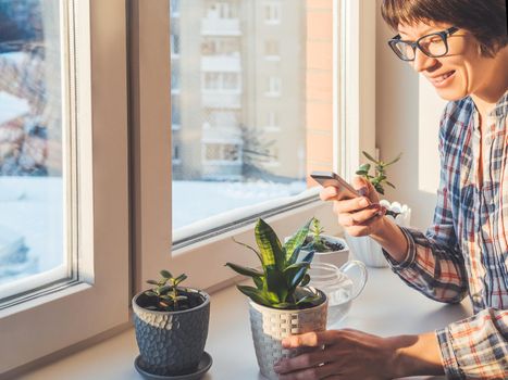 Woman takes pictures of succulent plants with smartphone. Flower pots on window sill. Sansevieria, Crassula. Peaceful botanical hobby. Gardening at home. Winter sunset.