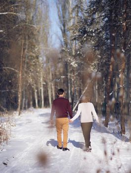 Young couple walking through the winter forest holding hands.