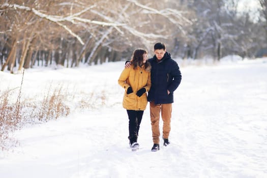 On a winter day, a young couple is walking in an embrace in the park and communicating.