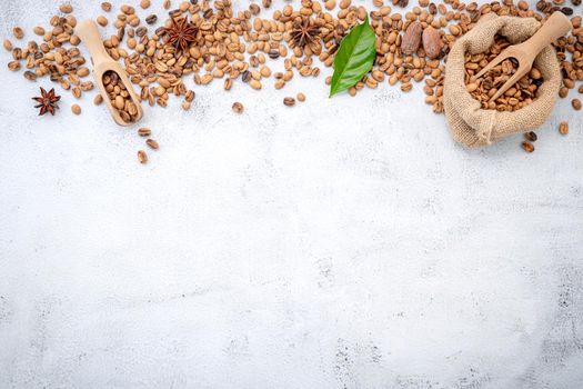 Roasted coffee beans with scoops setup on white concrete background.