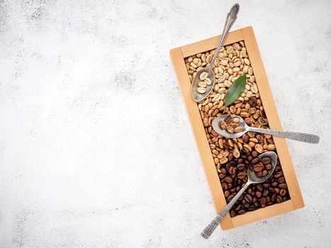 Green and brown decaf unroasted and dark roasted coffee beans in wooden box with scoops setup on white concrete background. with scoons setup on white concrete background.