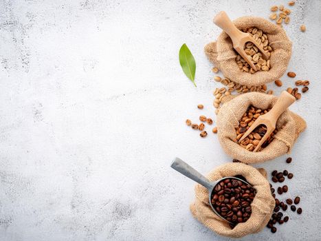 Green and brown decaf unroasted and dark roasted coffee beans in hemp sack bags with scoops setup on white concrete background.