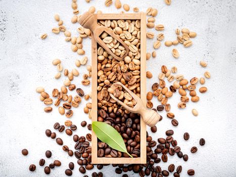 Green and brown decaf unroasted and dark roasted coffee beans in wooden box with scoops setup on white concrete background.