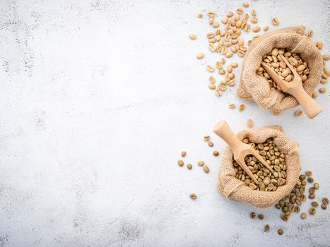 Green and brown decaf unroasted coffee beans in hemp sack bags with scoops setup on white concrete background.