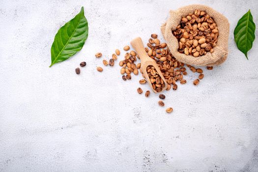 Roasted coffee beans with scoops setup on white concrete background.